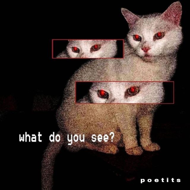 p o e t i t s - 'what do you see?' [Ringtone]