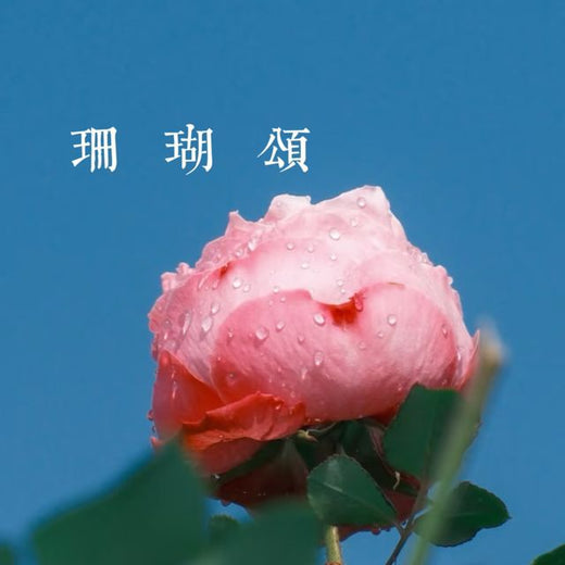 梨子芹菜 - '珊瑚颂 (摇滚)' [Ringtone]