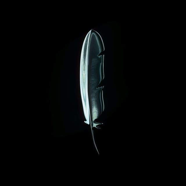 Strick - 'Feathers (feat. Ty Dolla $ign)' [Ringtone]