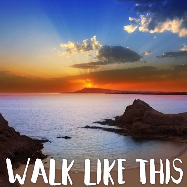 Tropical Jawns - 'Walk Like This (Marimba Version)' [Ringtone]