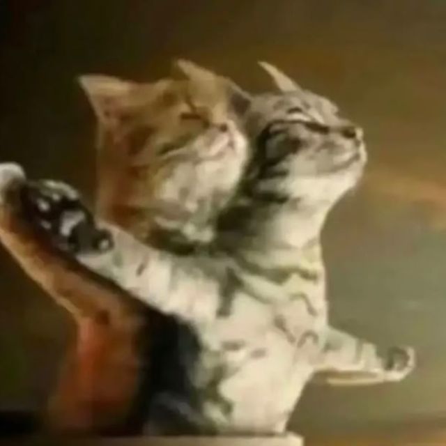 Txkumoon - 'Party Party' [Ringtone]