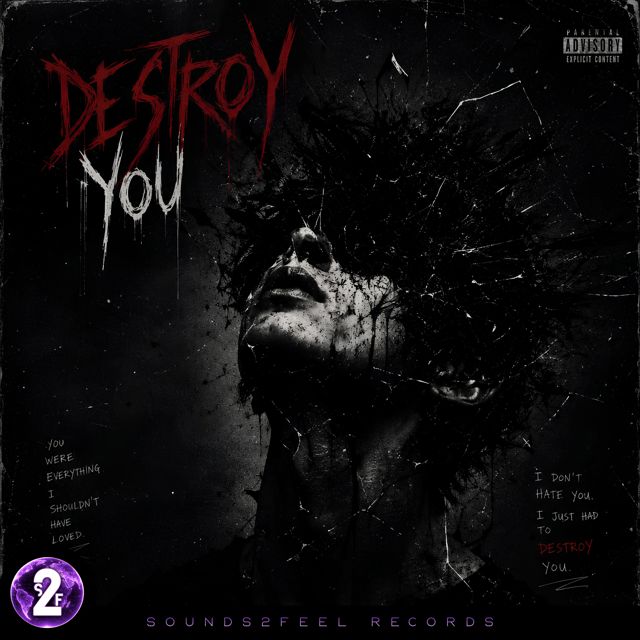 VØIDCHAIN - 'Destroy You' [Ringtone]