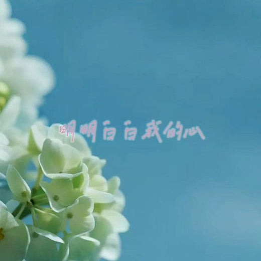 白兰滴 - '明明白白我的心 (烟嗓版)' [Ringtone]