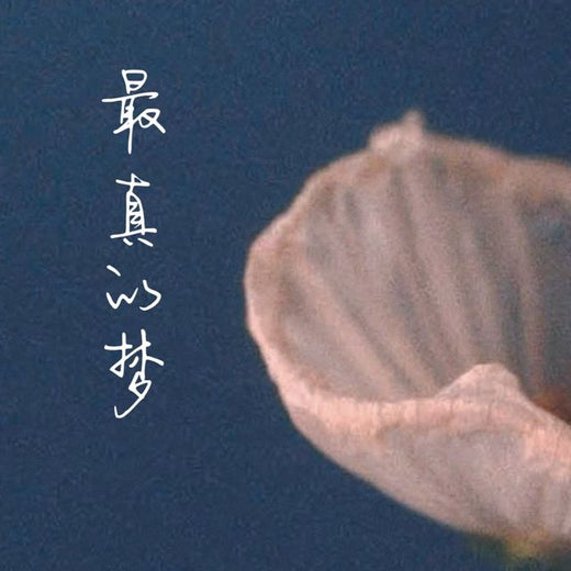 梨子芹菜 - '最真的梦' [Ringtone]