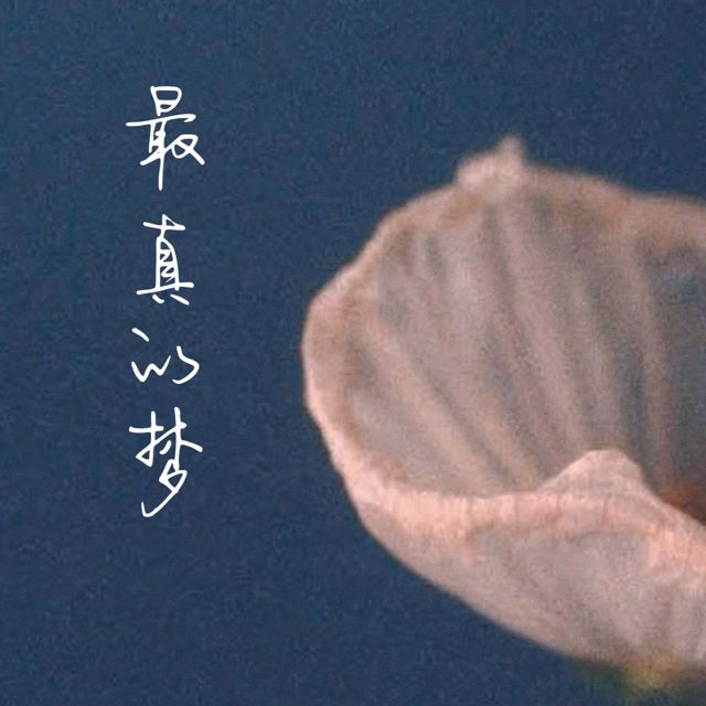 梨子芹菜 - '最真的梦' [Ringtone]