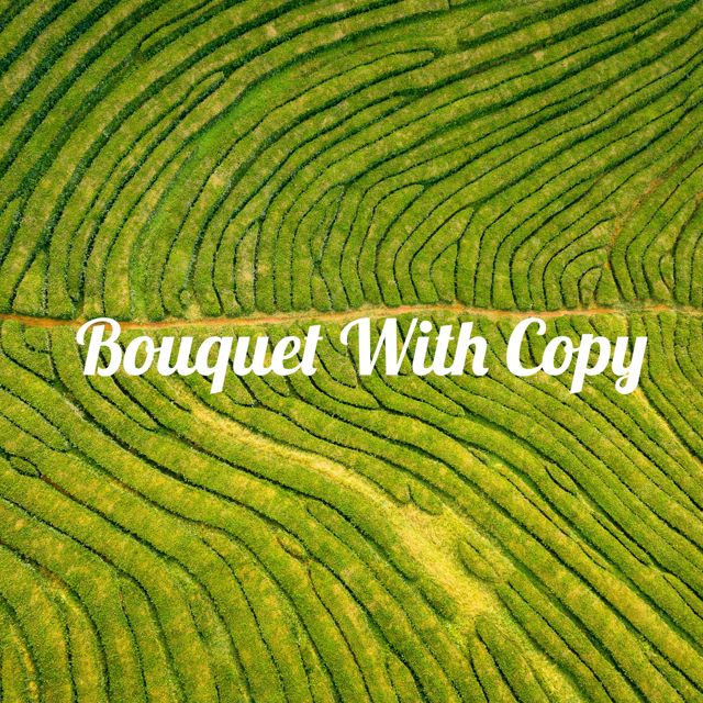 Shari Perez - 'Bouquet with Copy' [Ringtone]