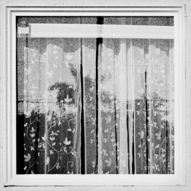 sunflwr - 'kawamurra' [Ringtone]