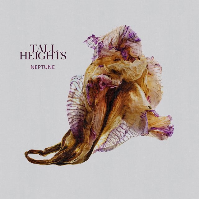 Tall Heights - 'No Man Alive' [Ringtone]