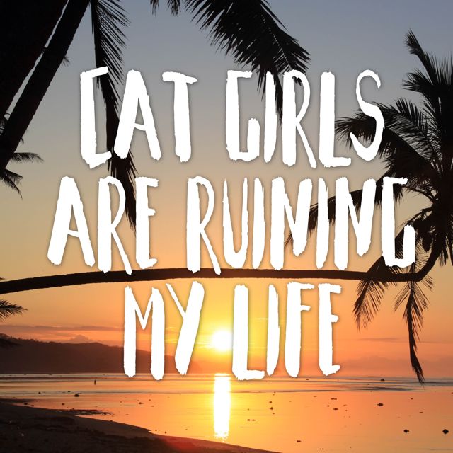 Tropical Jawns - 'Cat Girls Are Ruining My Life (Marimba Version)' [Ringtone]