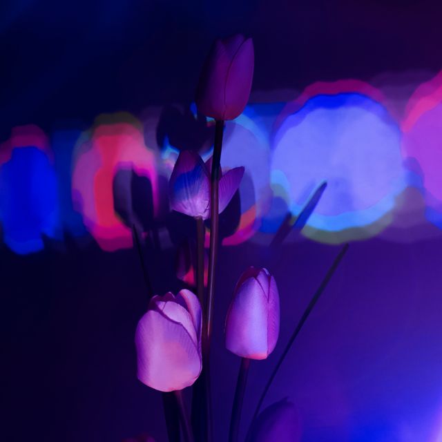Neon Blood - 'Ghost Petals' [Ringtone]