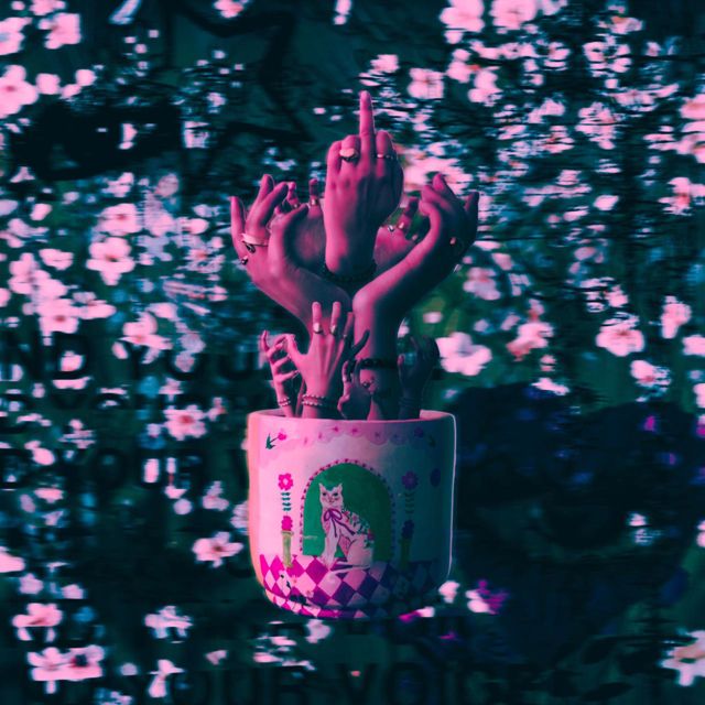 Havera - 'Cuando mueren las flores' [Ringtone]