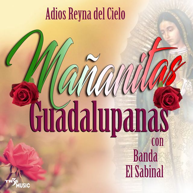 Banda El Sabinal - 'Cariño Sin Condicion' [Ringtone]