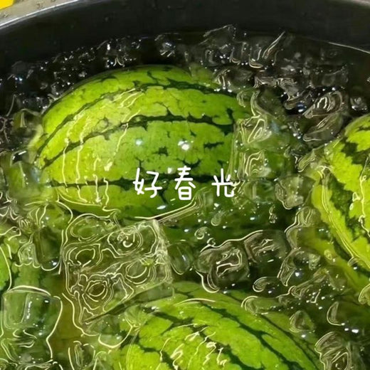 白兰滴 - '好春光' [Ringtone]