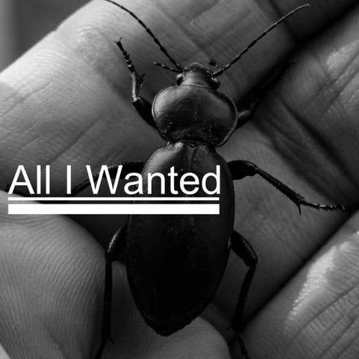 Roger Nomada - 'All I Wanted (Cover)' [Ringtone]