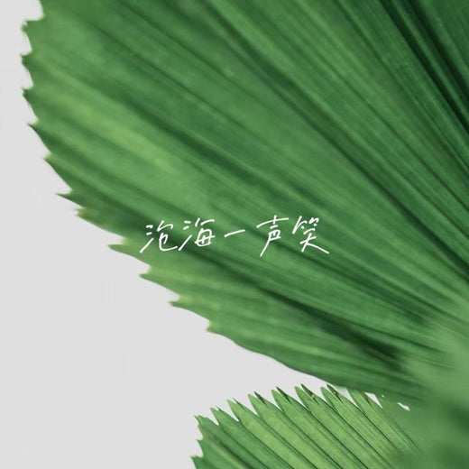 White Orchid - 'A Laugh in the Blue Sea' [Tono de llamada]