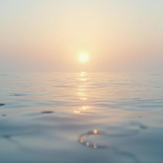Zen Drift - 'Soft Shelter' [Ringtone]