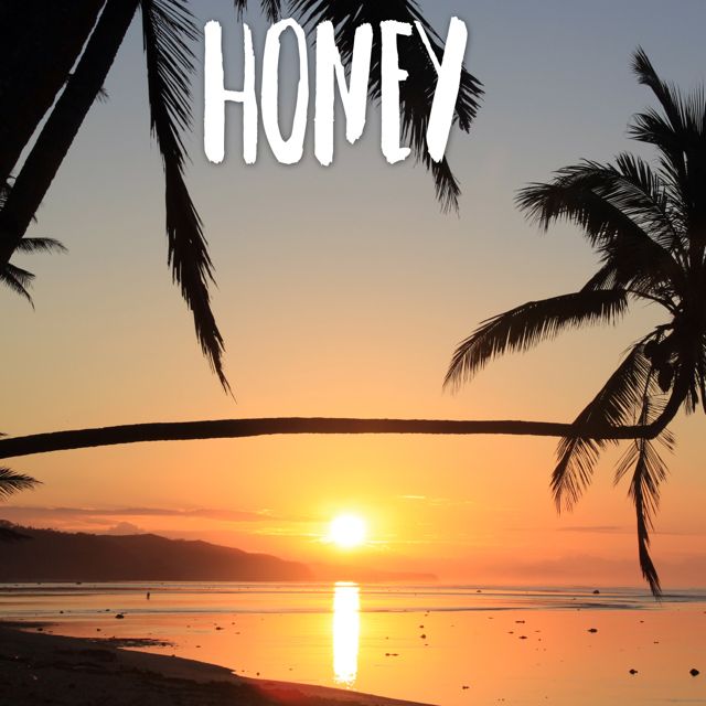 Tropical Jawns - 'Honey (Marimba with Instrumental)' [Ringtone]
