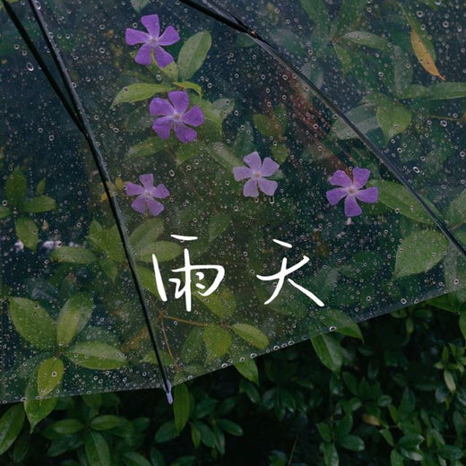 梨子芹菜 - '雨天' [Ringtone]