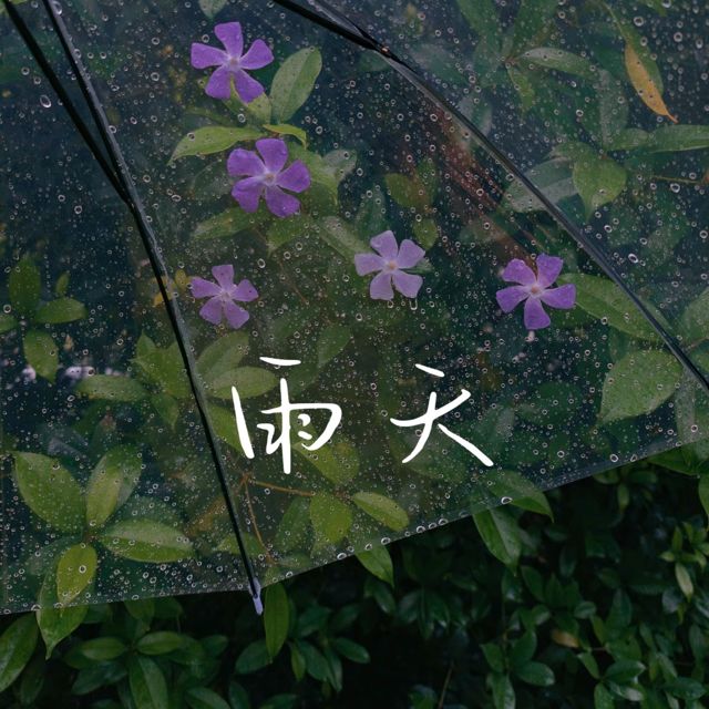 梨子芹菜 - '雨天' [Ringtone]