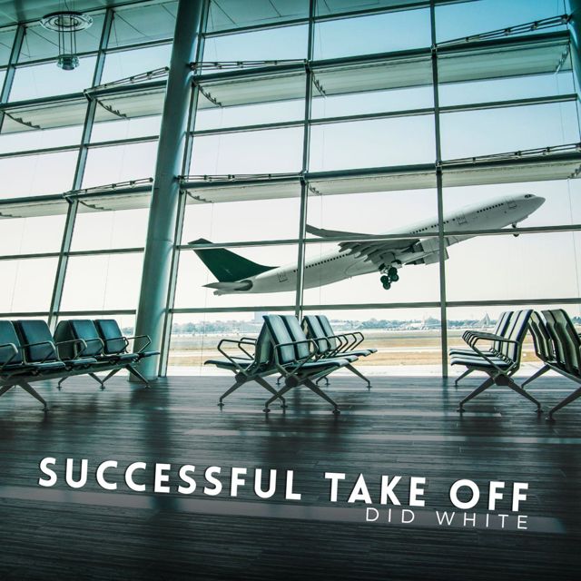 Did White - 'Successfull Take Off' [Ringtone]