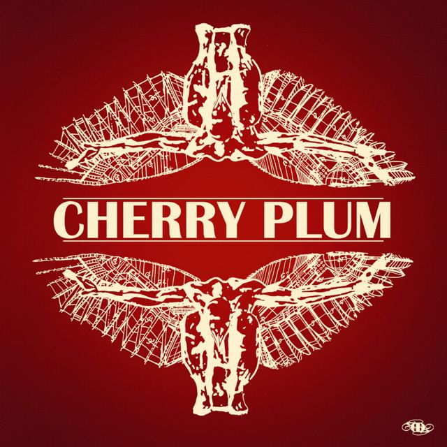 Cherry Plum - 'Waiting For My Soul II' [Ringtone]