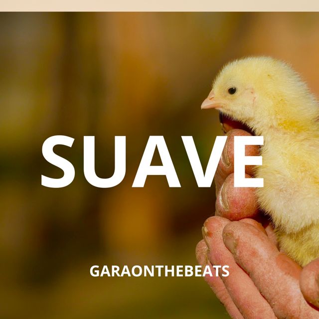 Garaonthebeats - 'Suave' [Ringtone]