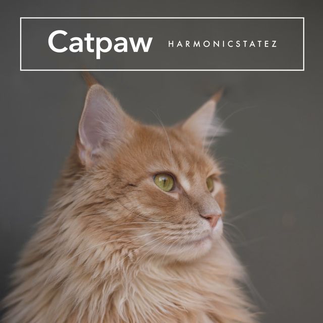 Juno Keir - 'Catpaw' [Ringtone]