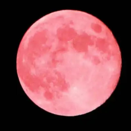 ORION - 'Strawberry Moon' [Ringtone]