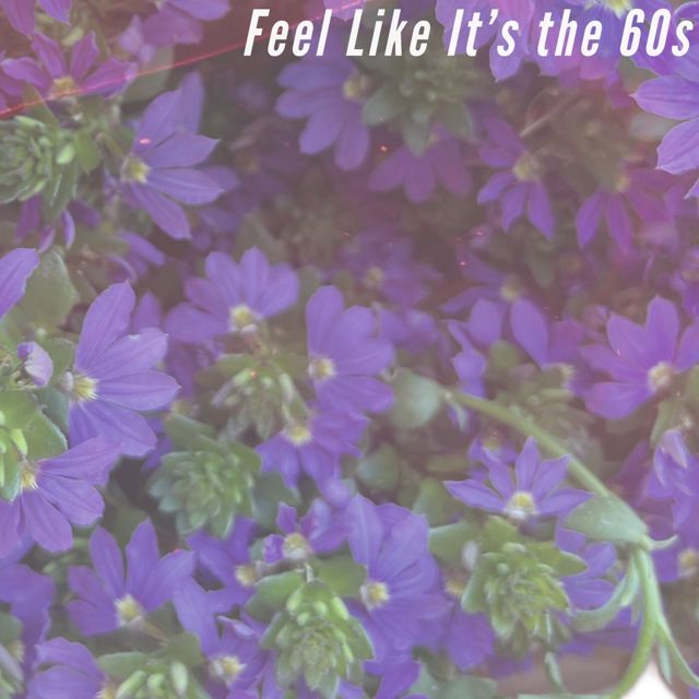 Sorry It's Over - 'Feel Like It's the 60's' [Ringtone]