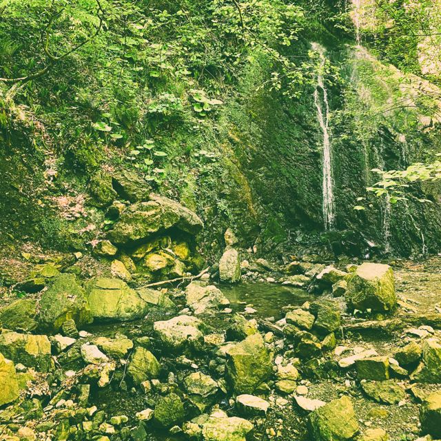 Mossveil - 'Summer Mist by the Falls' [Ringtone]