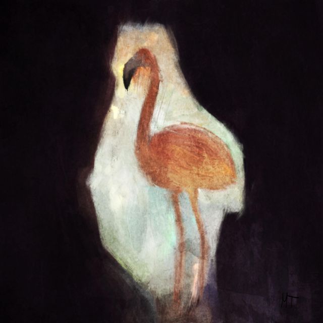 Softcore Toucan - 'Flamingos of Korissia' [Ringtone]