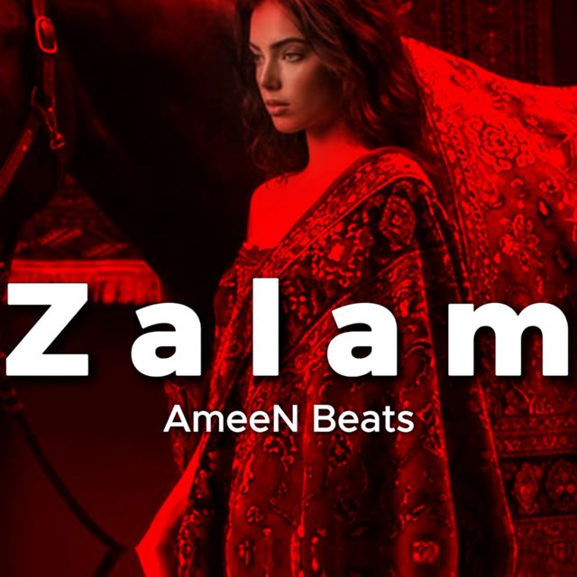 AmeeN Beats - 'Zalam' [Ringtone]