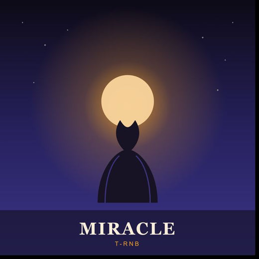 T-RnB - 'Miracle' [Ringtone]