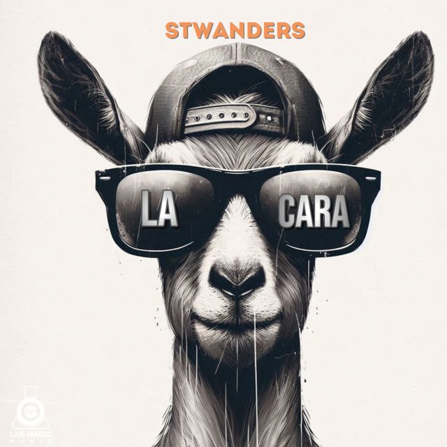 Stwanders - 'La Cara' [Ringtone]