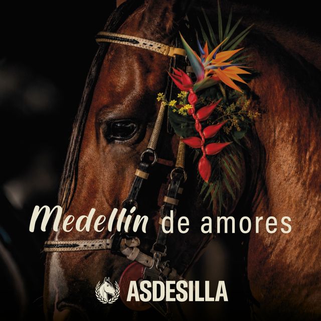 Daniel Lema - 'Medellín de amores (feat. Asdesilla)' [Ringtone]