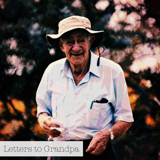 David Gal - 'Letters to Grandpa' [Ringtone]