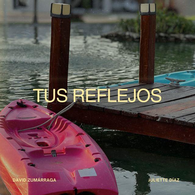David Zumarraga - 'Tus Reflejos' [Ringtone]