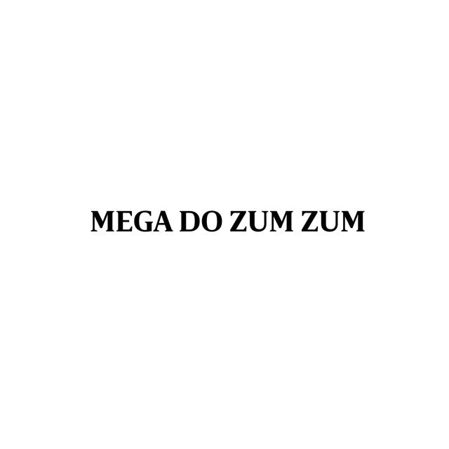 DJ FB DA VDS - 'MEGA DO ZUM ZUM (feat. FN HITS)' [Ringtone]