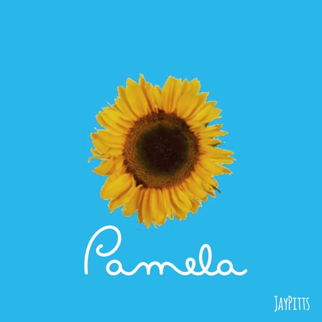 Jaypitts - 'Pamela' [Ringtone]