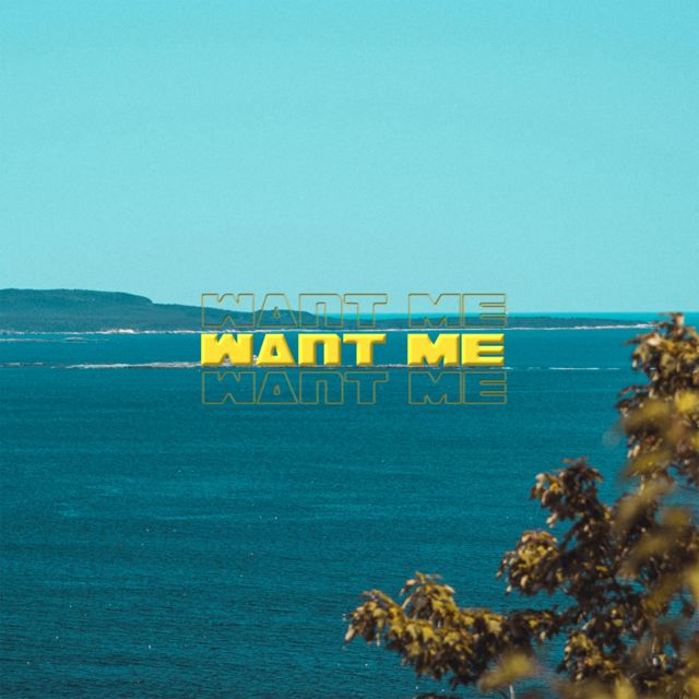 Will Ryte - 'Want Me' [Ringtone]