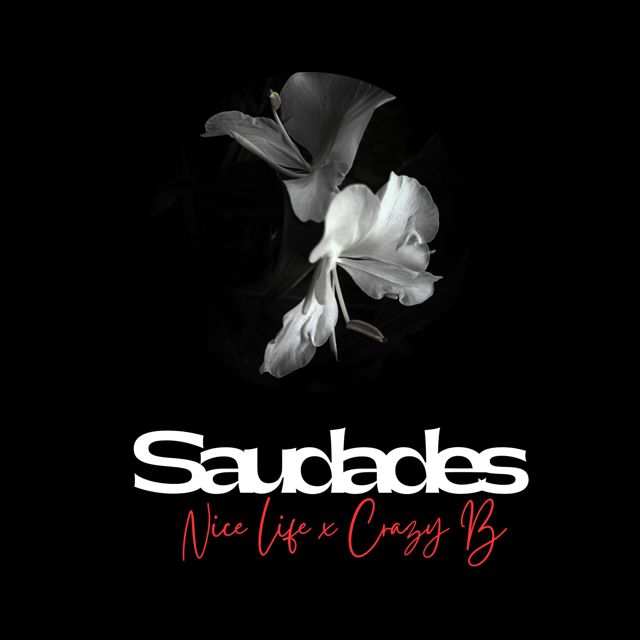 Nice Life - 'Saudades (feat. crazy b)' [Ringtone]