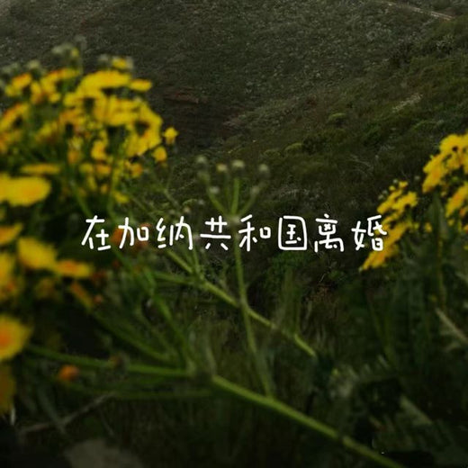 bo一霖 - '在加纳共和国离婚' [Ringtone]
