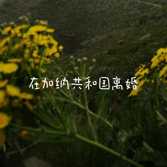 bo一霖 - '在加纳共和国离婚' [Ringtone]