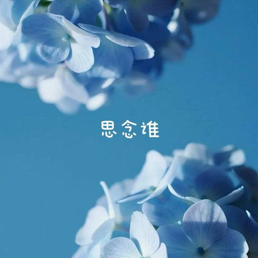 白兰滴 - '思念谁' [Ringtone]