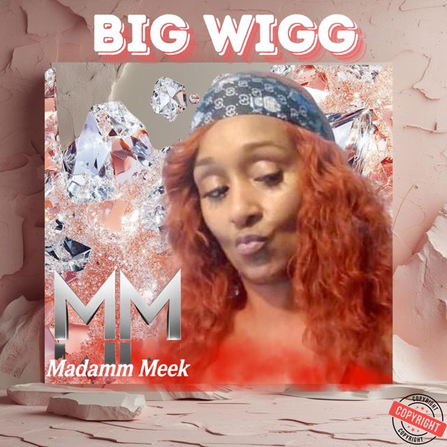 MADAMM MEEK - 'BIG WIGG (Original Mix)' [Ringtone]