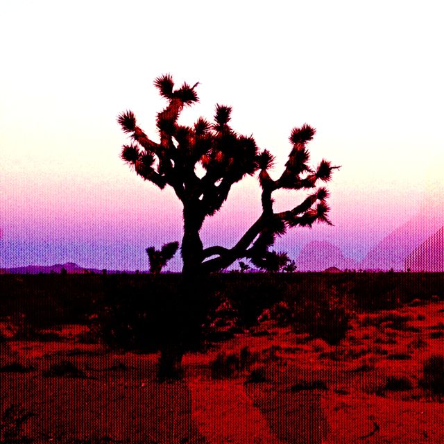Katzroar - 'Two Weeks (feat. Assaf Spector & Brian J Gitkin)' [Ringtone]