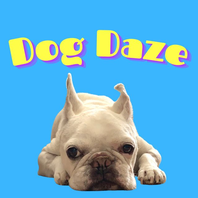 Sorry It's Over - 'Dog Daze' [Ringtone]