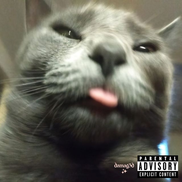 Whoishellcat - 'Praise' [Ringtone]
