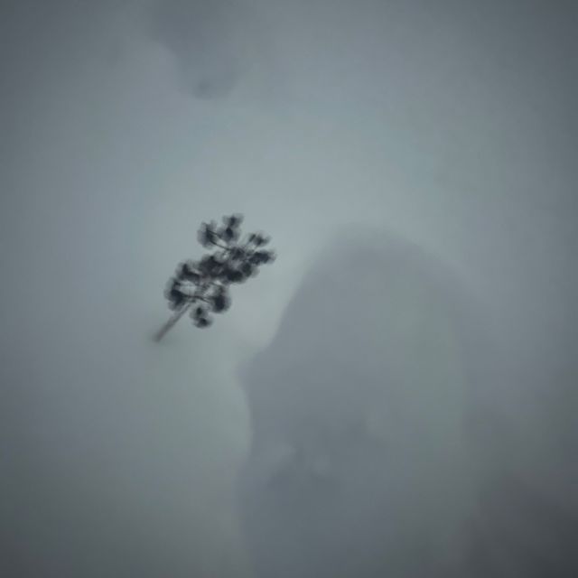 flesh the kid - 'Deepest Darkest Secrett' [Ringtone]