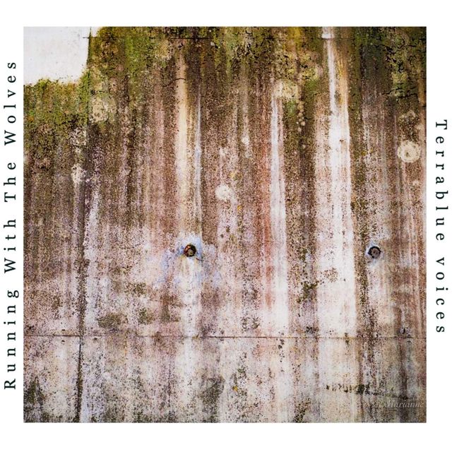 Terrablue voices - 'Running With The Wolves' [Ringtone]